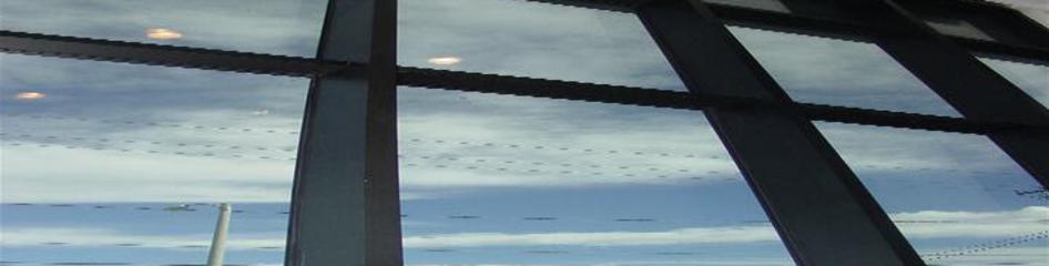 American Diversified Contractor